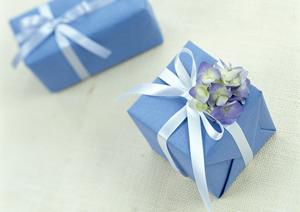 遠隔監視カメラで気になる場所をチェック